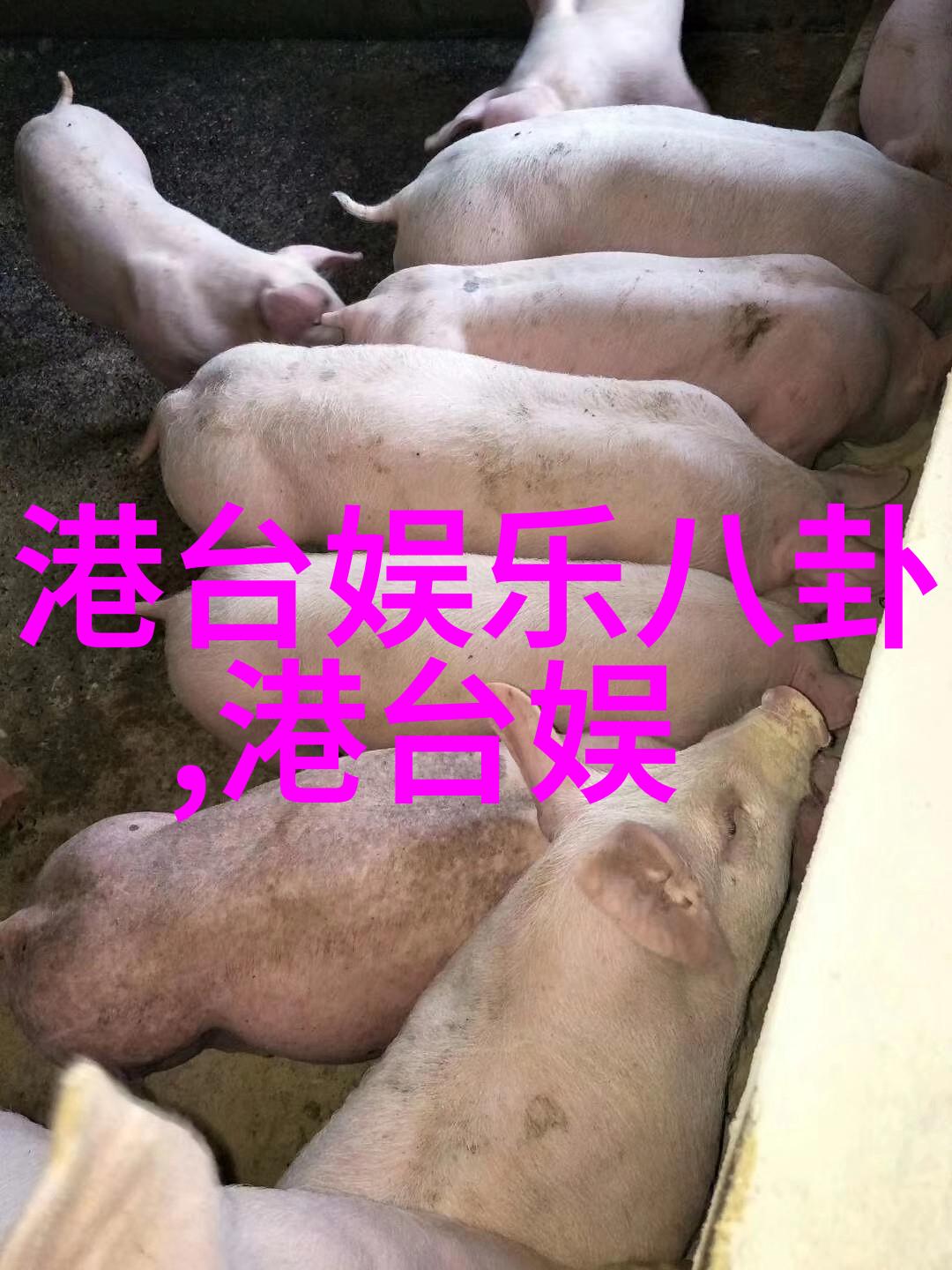 时尚潮流猫眼镜框的复兴与个人风格的探索