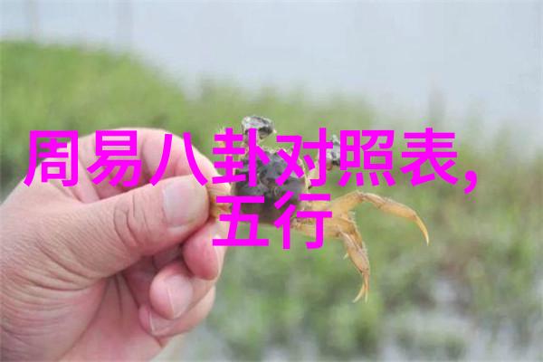 无爱谈的我们恋爱新手之旅综艺大秀免费观