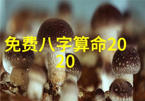 斗罗大陆高清完整版免费观看的秘密之处