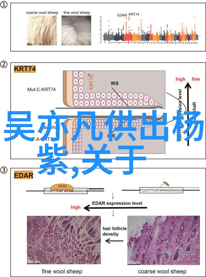 陈果台湾为什么至今没有回到祖国