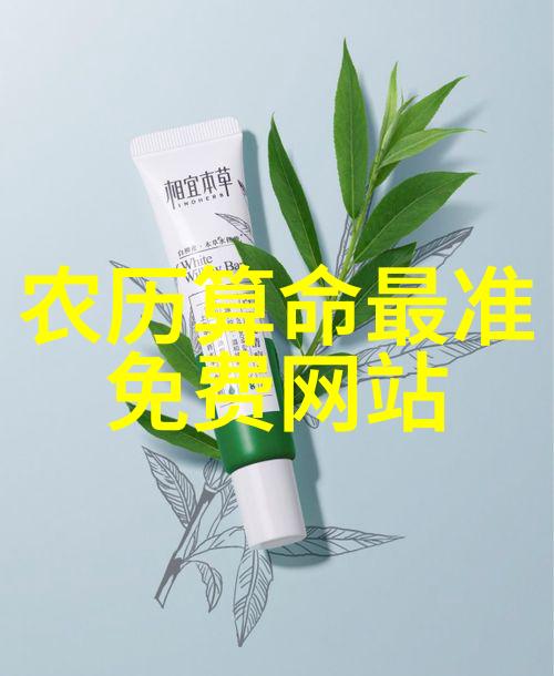 偶像来了 综艺我的偶像梦想成真