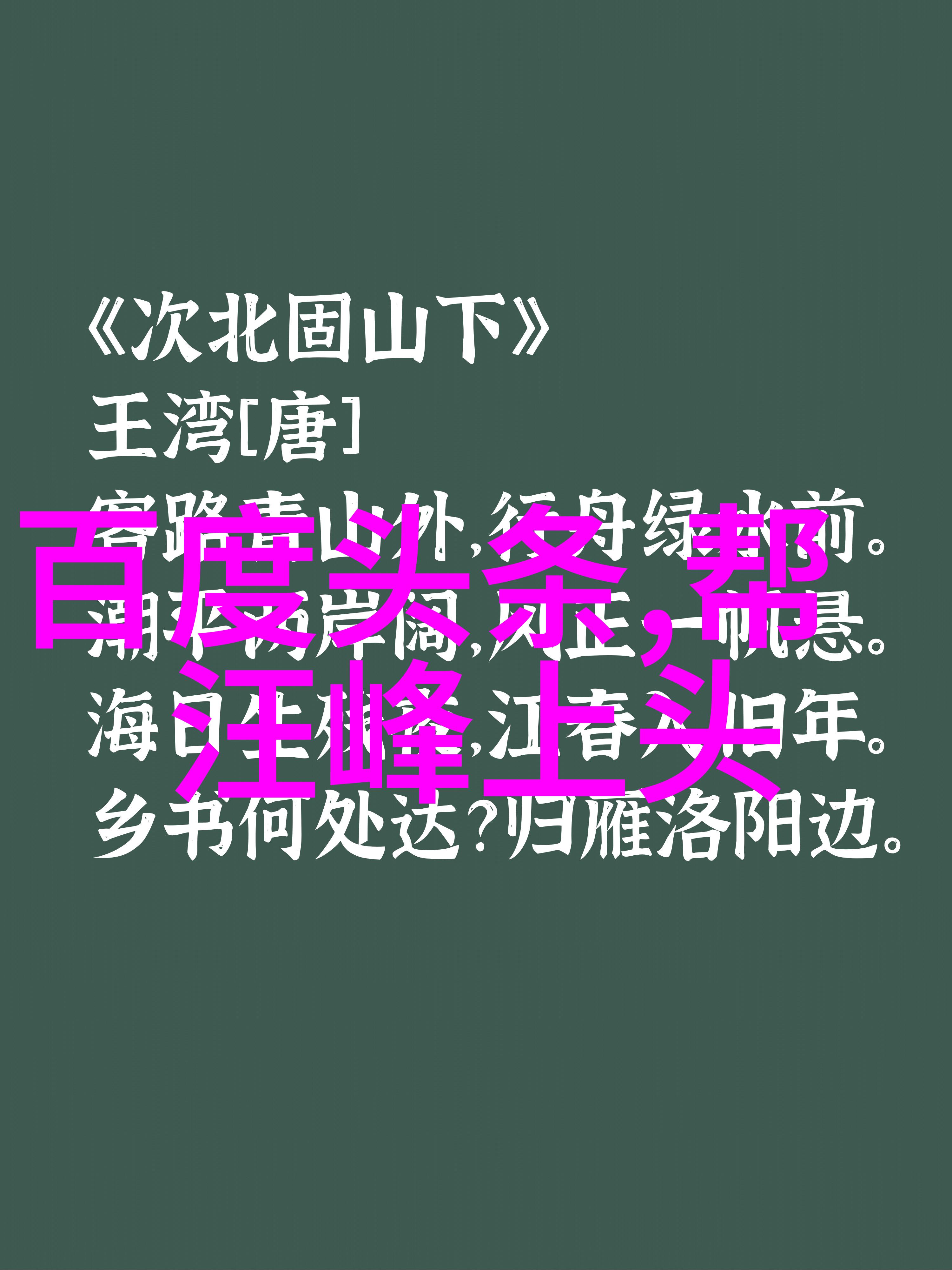 申世京侧脸曲线无缺点 女神外貌被认证