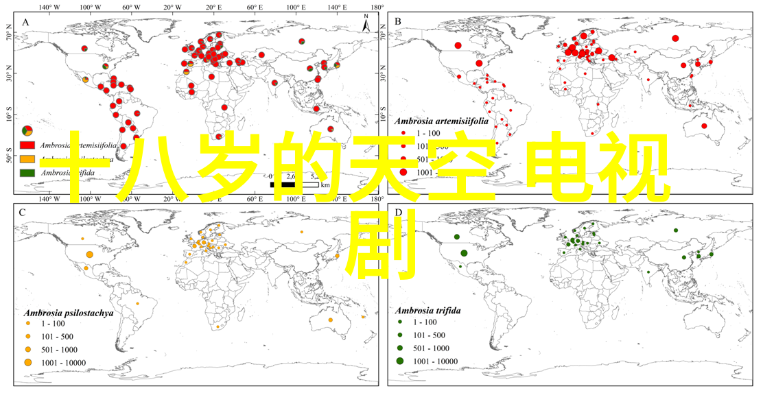 探索小小影视官网精彩内容与创意无限的数字世界