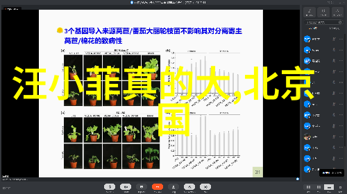 2022年进化成巅峰2023年五月天三大演唱会齐聚一堂稳坐演唱会之王宝座抖音上最火的十大英文歌曲也为