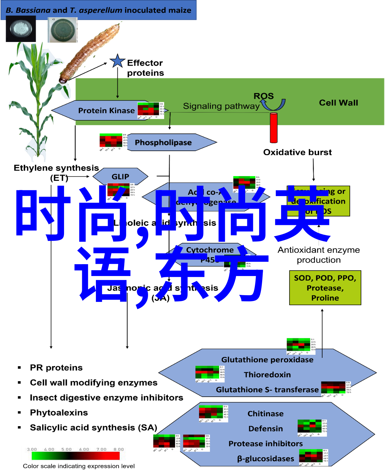 娱乐天王的奇幻重生从星光到巅峰