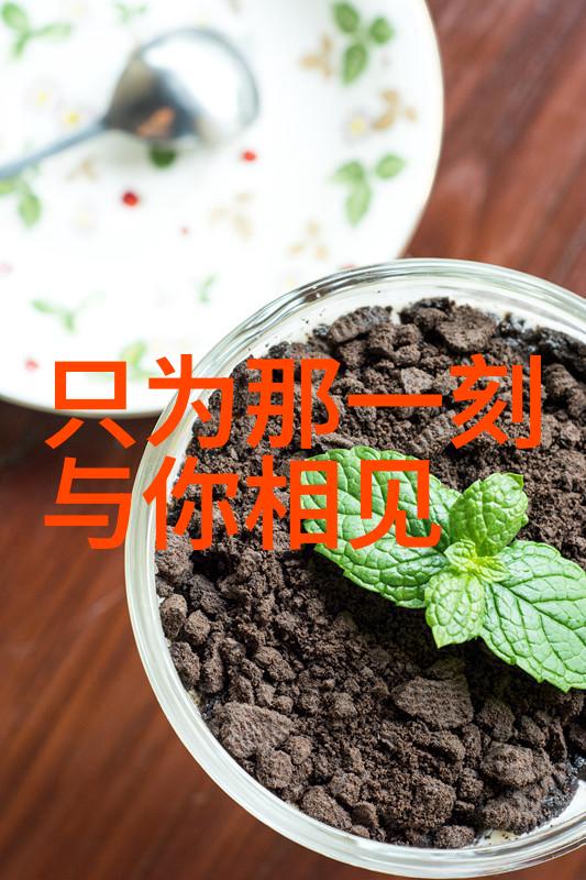 邓伦李沁甜蜜告白2021年共同见证爱情新篇章