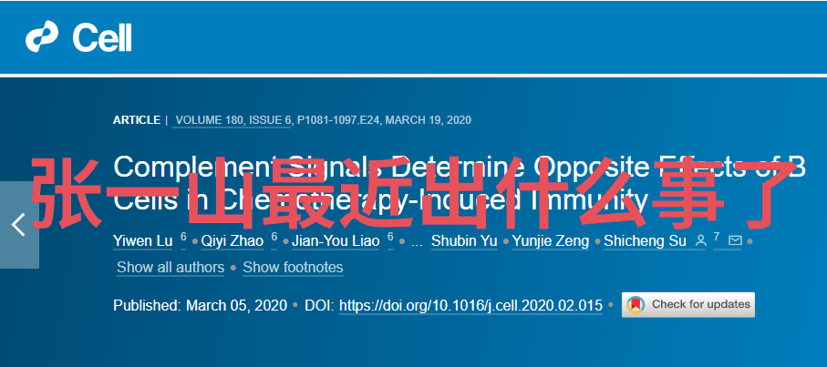 从幕后到主场站 台灣綜藝節目背後的人物故事