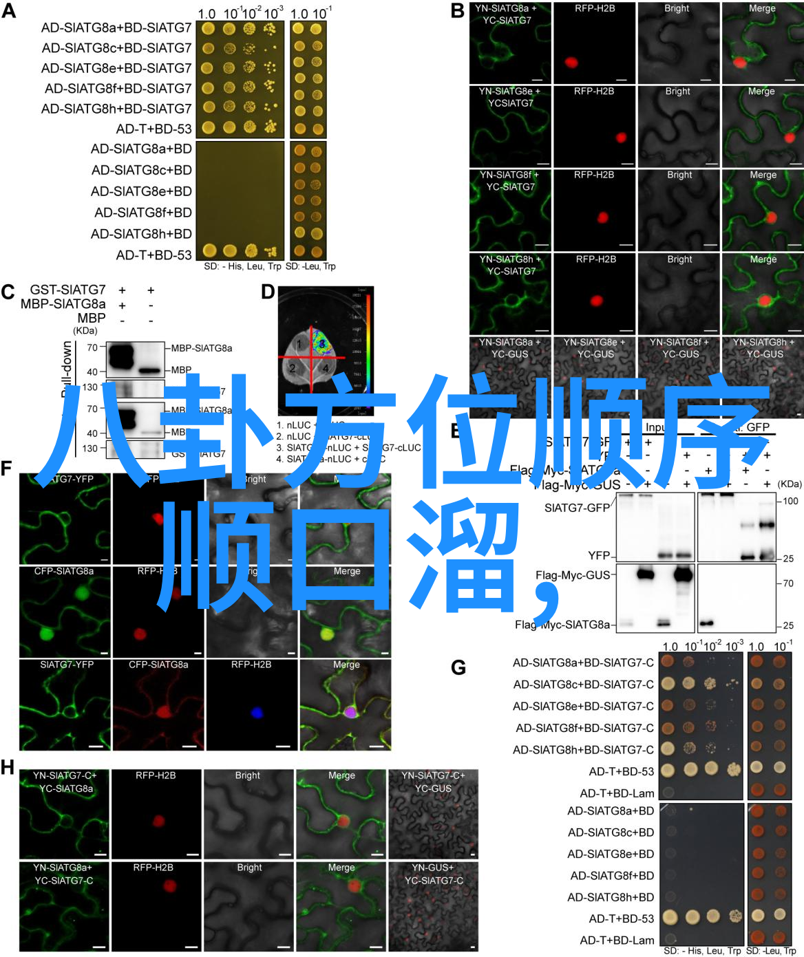 股市震荡报告A股回调引发投资者警觉