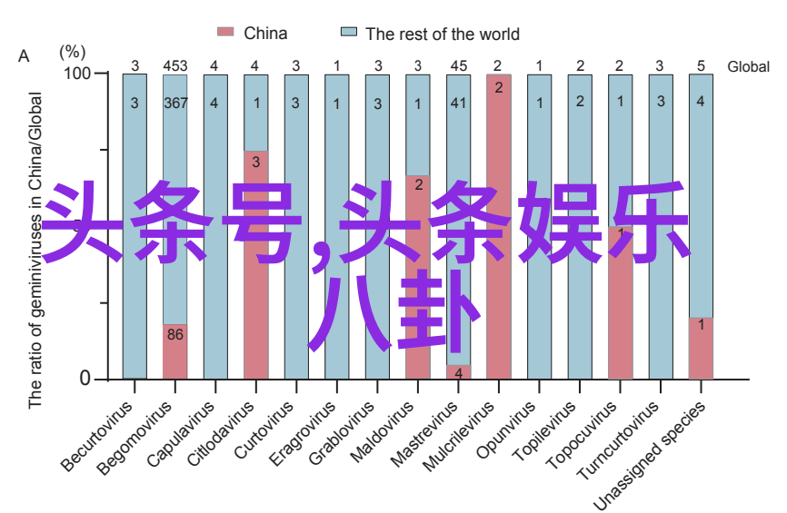 娱乐公司 - 银屏背后的传奇深度剖析娱乐公司的成功秘诀