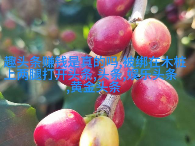 图4: 花园漫步