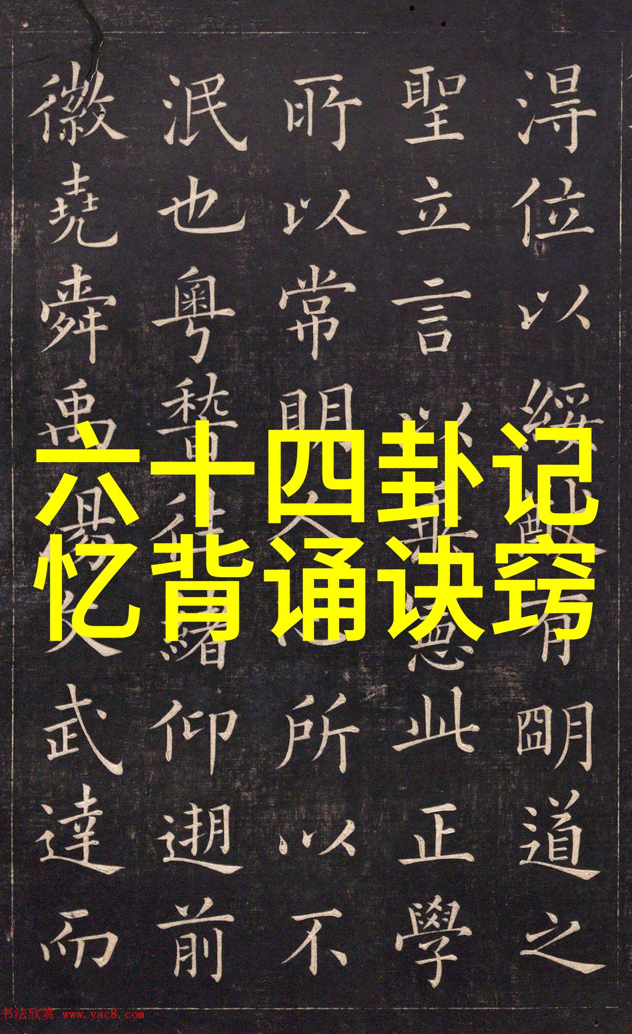 韩婧格高清视频全集下载探索她的魅力与艺术