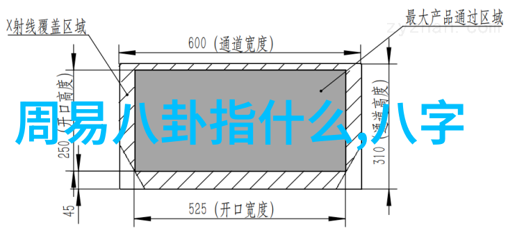 梦想成真从粉丝到主播時代少年團成长记