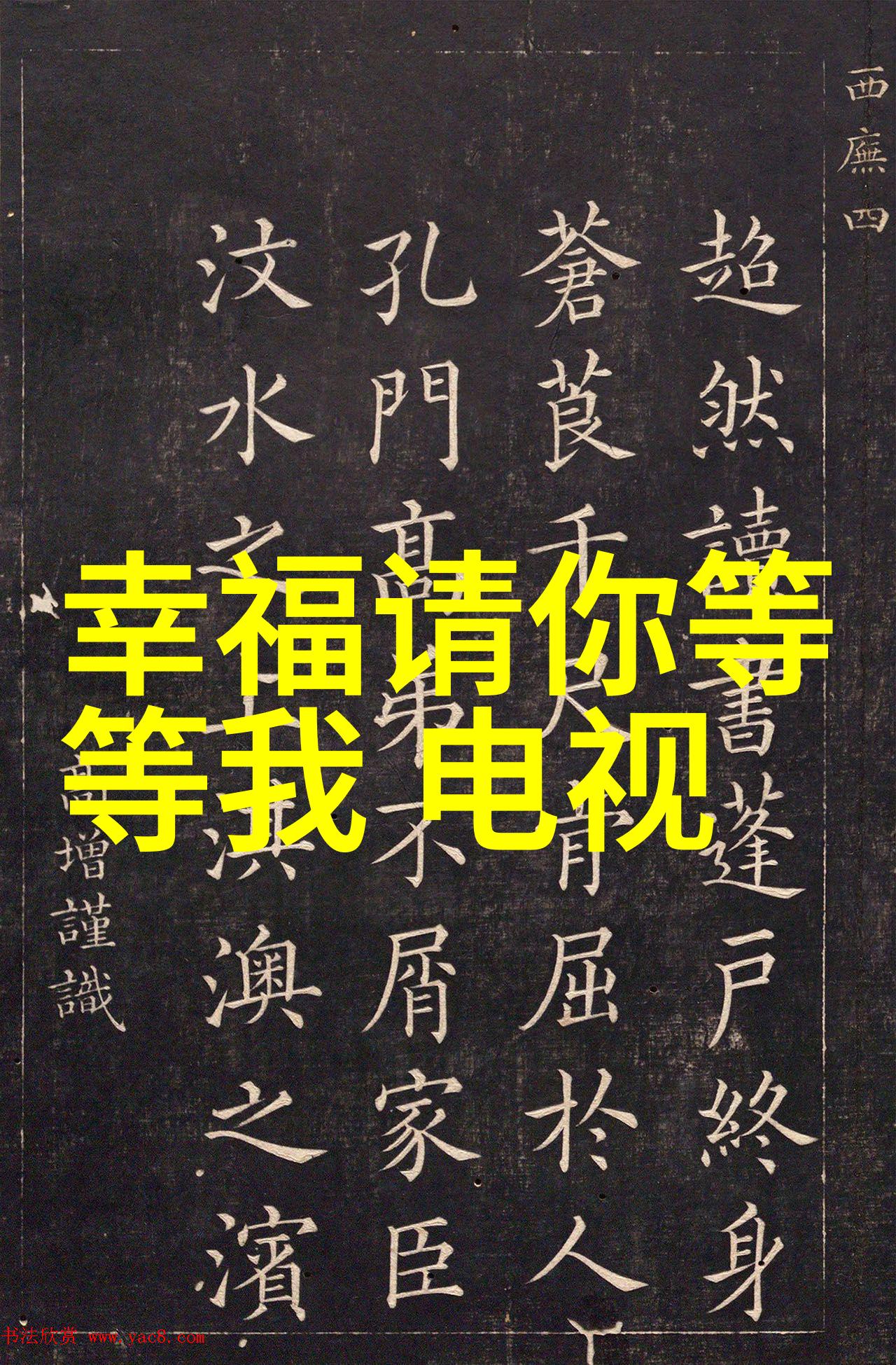 罗云熙追光者收官聚焦公益不负追光之旅今日头条官网报道在自然的怀抱中她的故事绽放