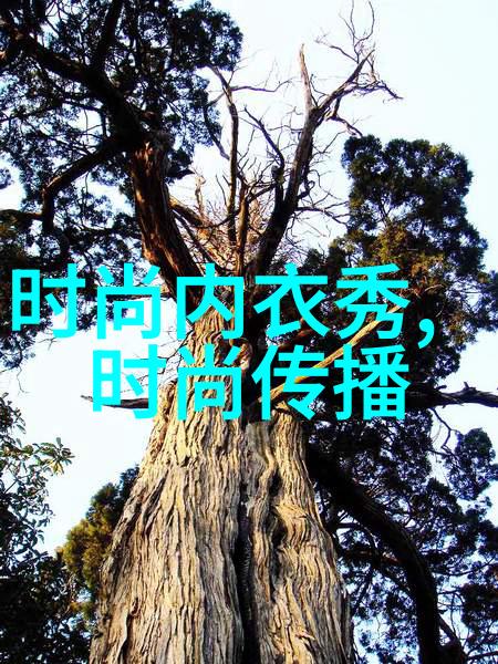 时尚早-探索为时尚早的文化内涵与日常应用