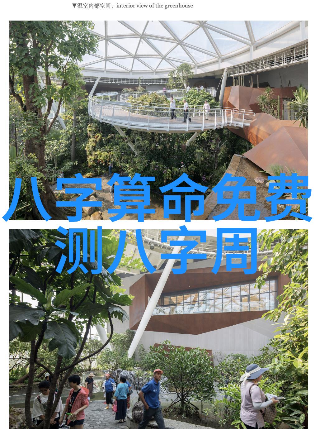 逆象变卦破解四象之谜