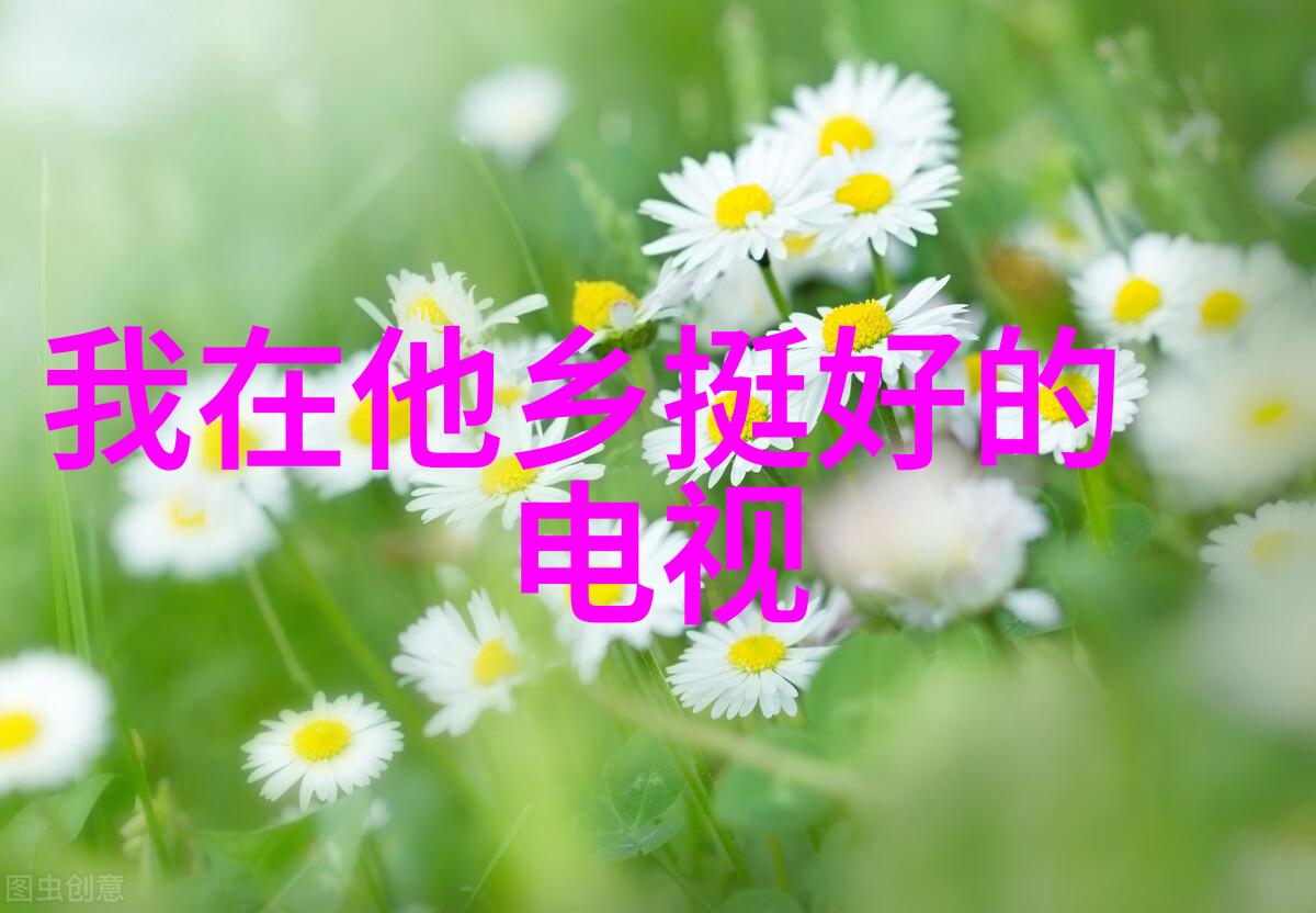 数字之谜解析17313的文化与意义