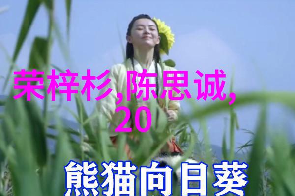 汪峰闪耀头条光芒