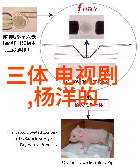 今日头条下载安装指南快速获取最新新闻资讯的智能手机应用程序