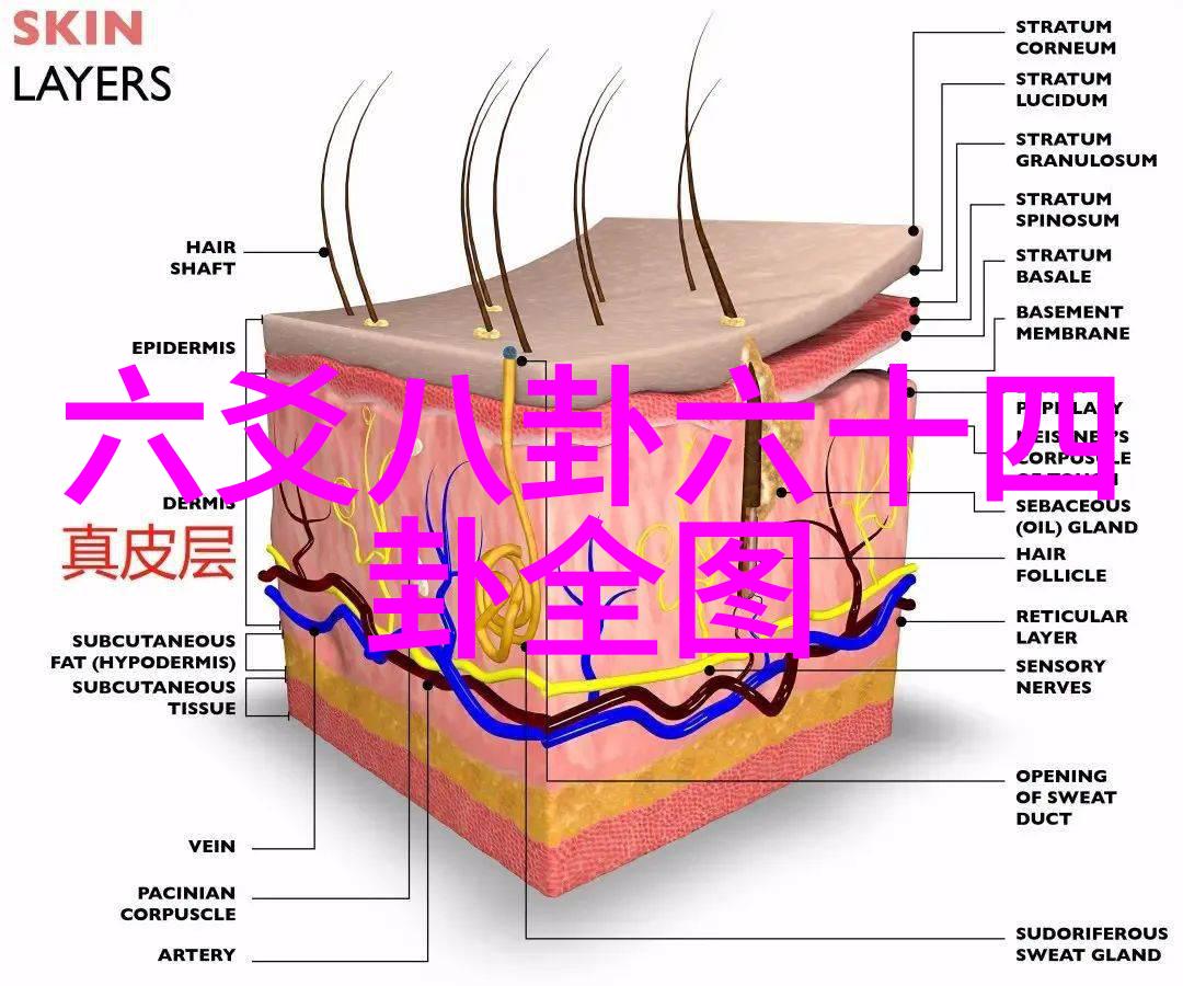 天际八卦图谜揭秘五行神秘之谜