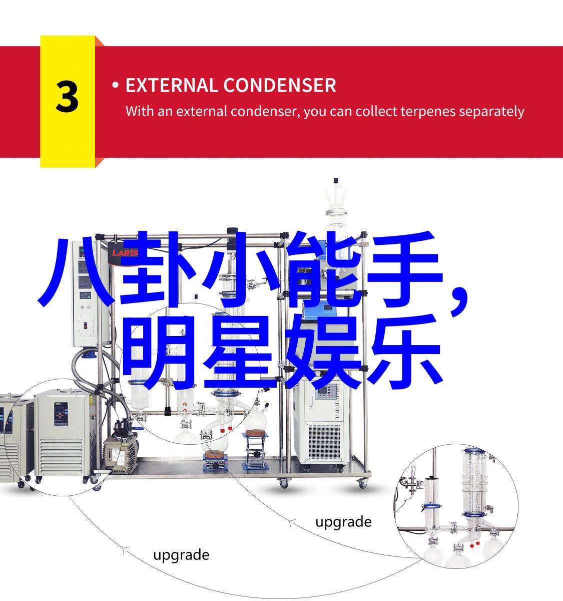 心碎的画面泪水与失落之间的故事