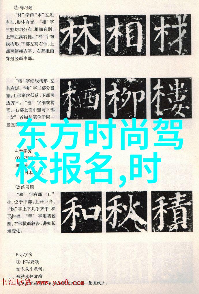 视觉探索镜像之谜解析