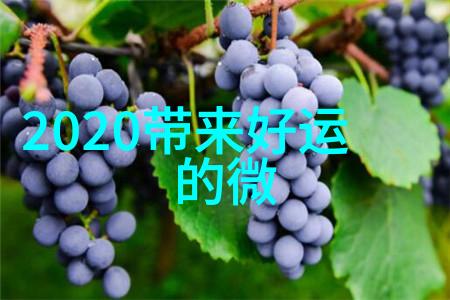 网络剧《再见将来》定档7.9