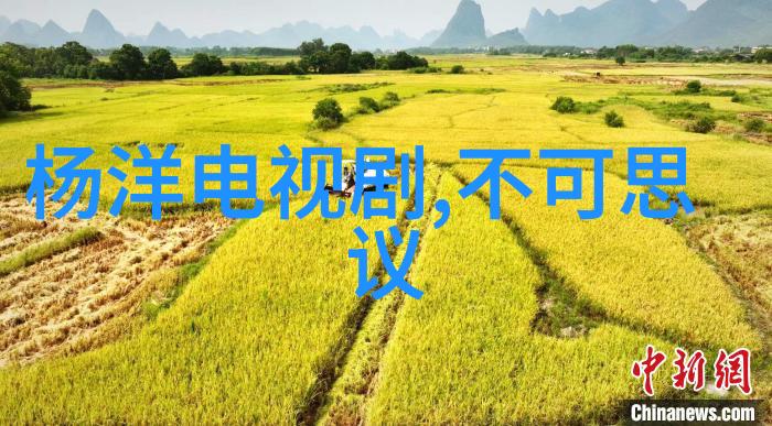 第四届上海大学生原创音乐大赛年度大奖璀璨诞生