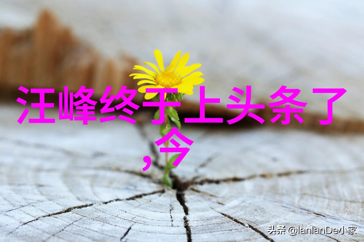 斗鱼健身一哥黑人毅宣布停播理由是赚的钱不多他的直播间曾经荣登直播网红排行榜前十名但现在他决定将自己的