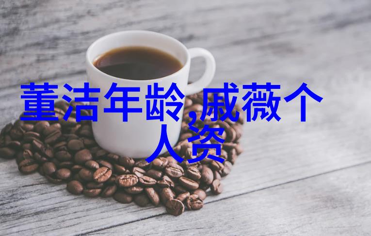 网红雪梨个人资料时尚博主的生活点滴