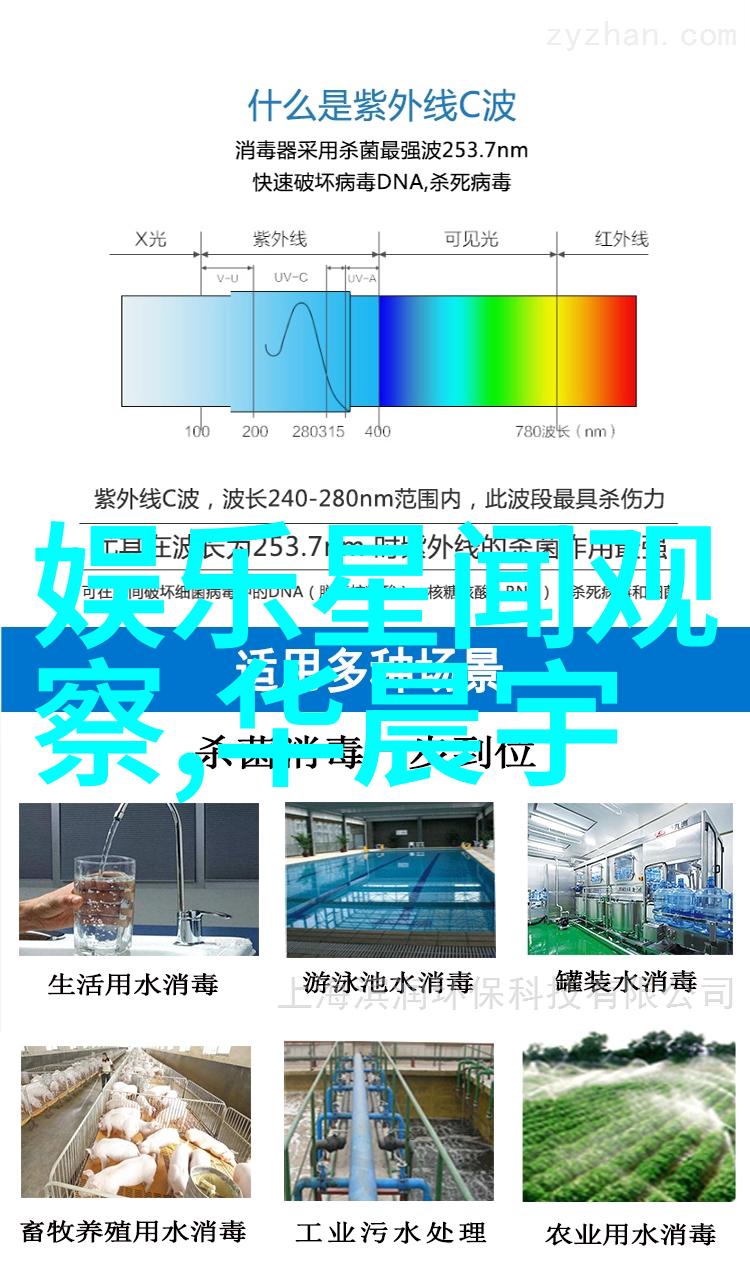 青春盛宴梦幻之夜的无尽狂欢