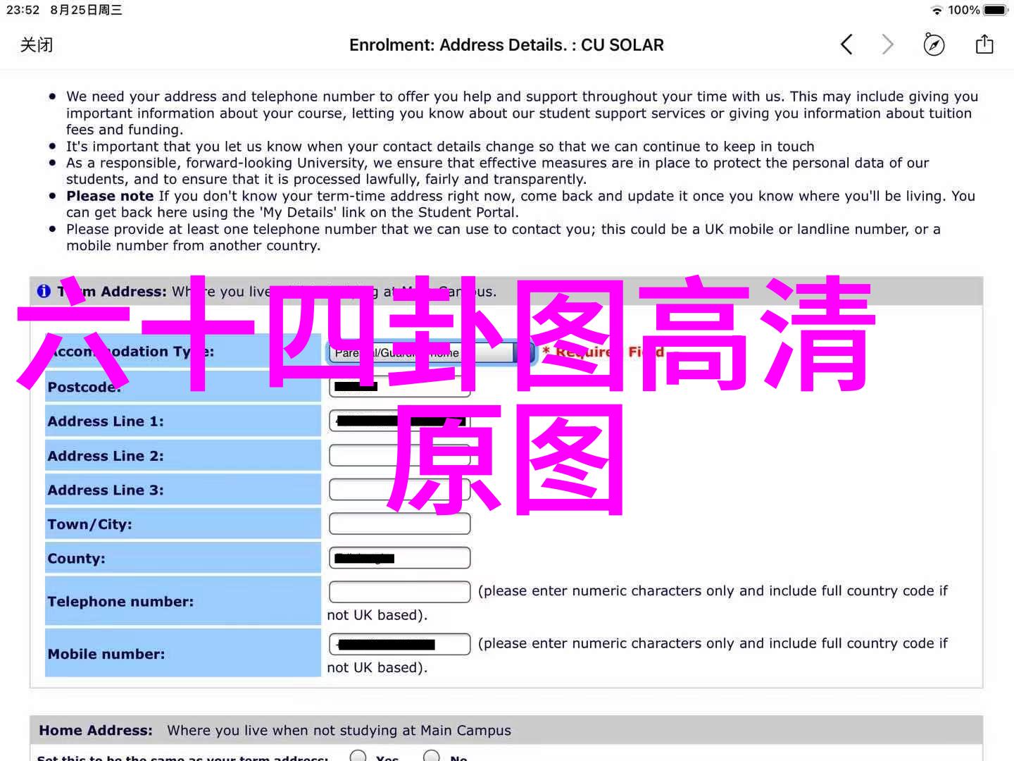 星光闪耀的舞台中国综艺节目的发展历程