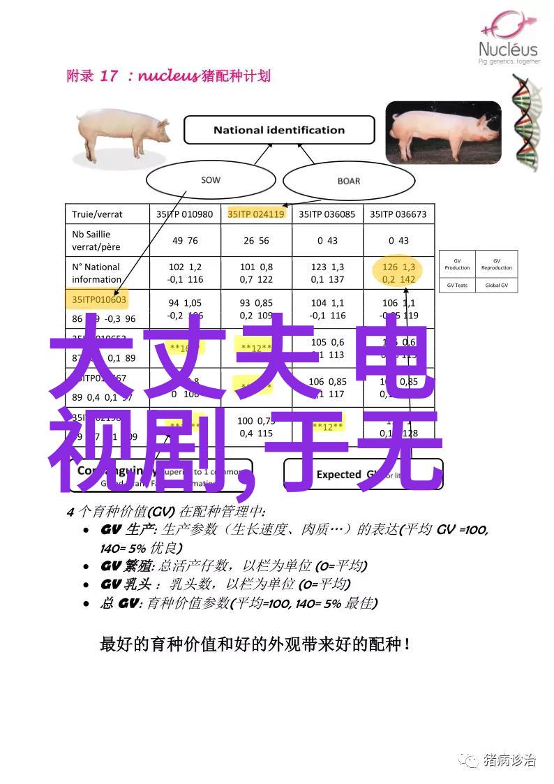 网红大事件全程直播网红节目免费观看完整版