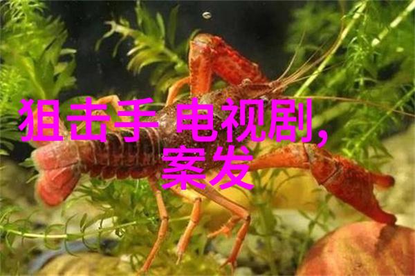 广东新闻-潮汕地区海洋渔业发展新动态