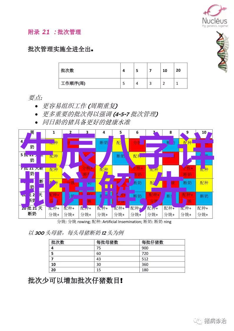 综艺喜乐汇笑声与光芒的交响乐