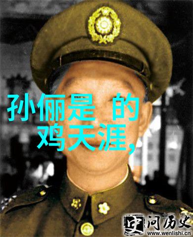 不仅是欢乐时光探讨网络红人如何影响现代社交风尚