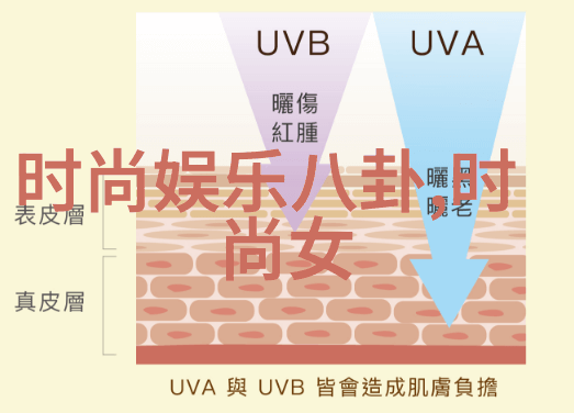 娘道探索女性力量与情感纠葛的电视剧