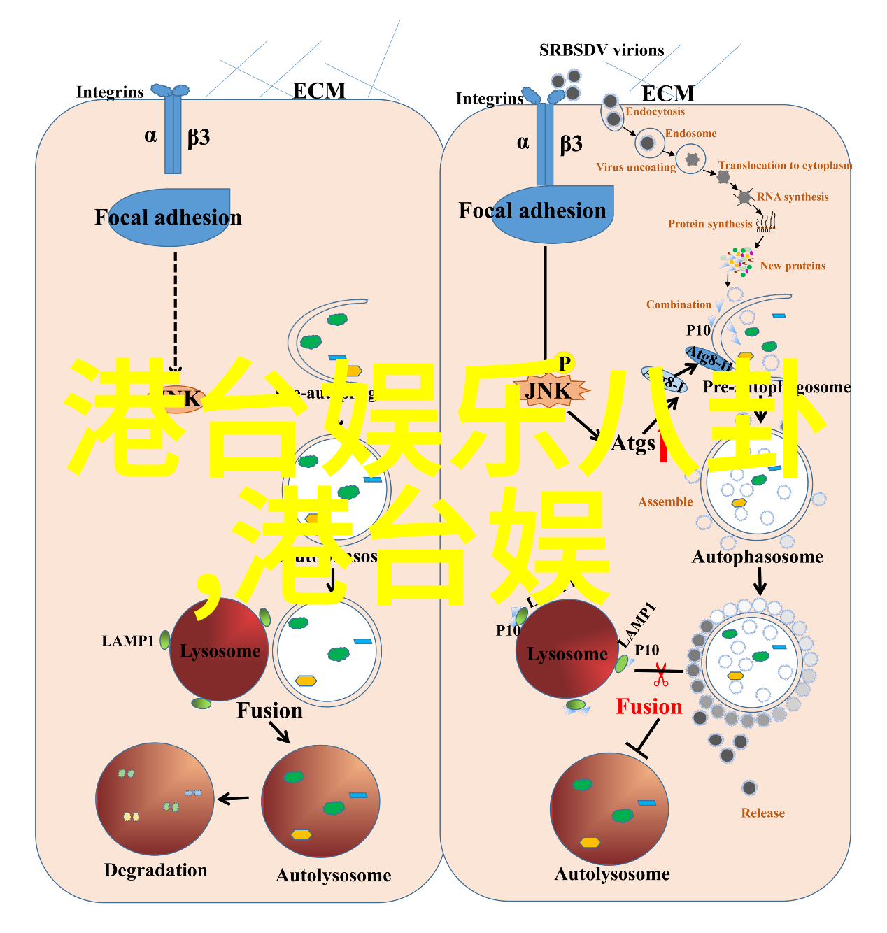 如果邓伦有机会回归他是否还能重燃当年的热情和成功