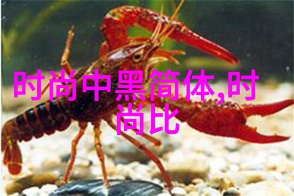 新浪娱乐新闻明星私密照片泄露事件背后有何深层原因