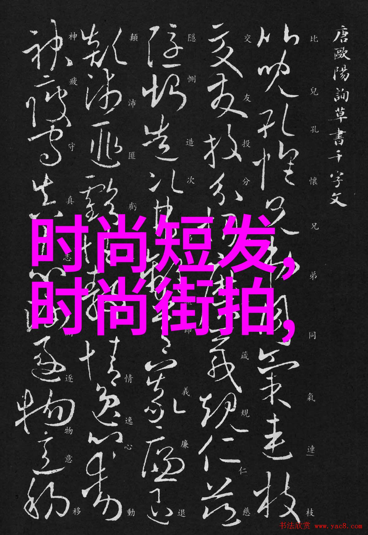 金助理为什么这样 - 金色身影背后的秘密解析金助理的行为逻辑