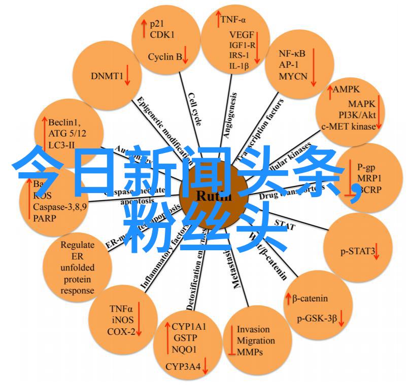 樱桃TV剧场免费追看经典影视大集结