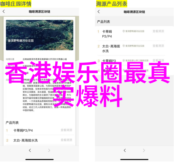 在虚拟现实的海洋里探索着梦境大师们如何编织出那些让人沉醉不已的非凡娱乐体验