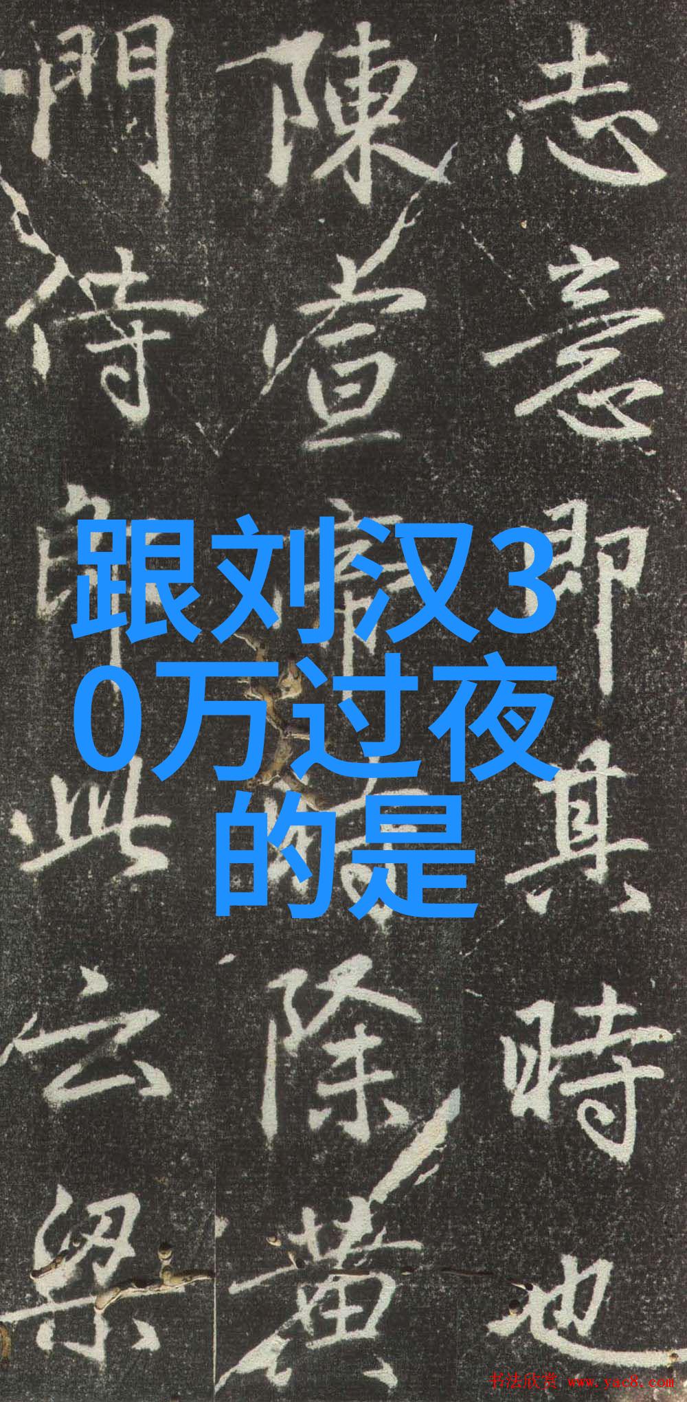 日本综艺我在有吉大反转里遇见了一个超级搞笑的日语学习老师