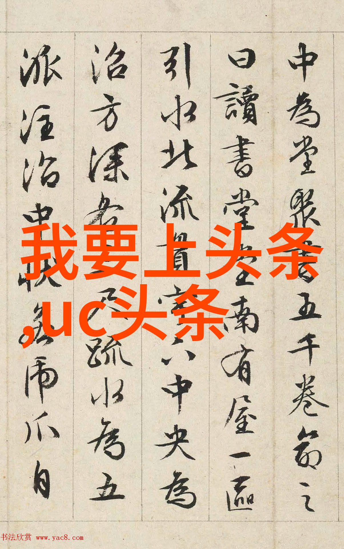 命运之轮揭秘名字背后的八字祸福