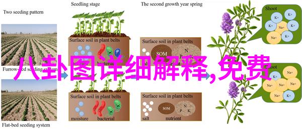 林更新即兴表演获赞赏 节目中失去恋人痛哭流涕