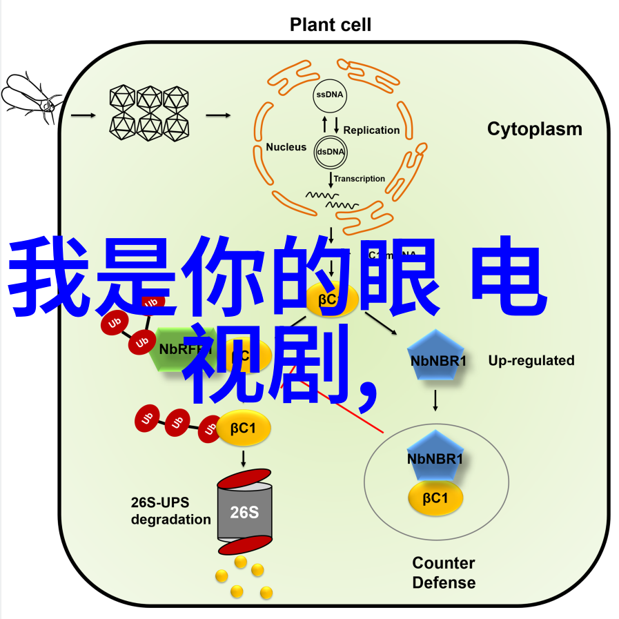 废柴兄弟3拔河狂飙热血收官 尤浩然待播新剧蓄势待发