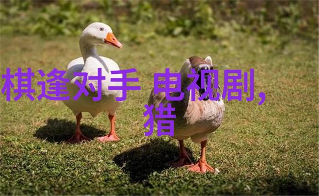 画卷中的人生解读50部代表中国电视文化的杰作