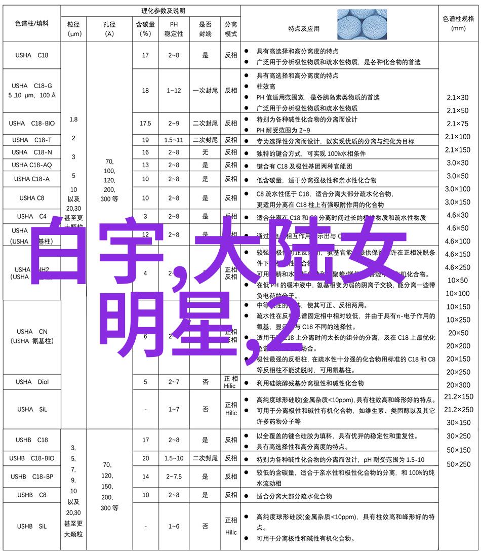 电视剧之旅杨紫的精彩演绎