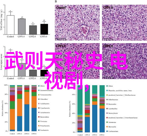 大神娱乐电子竞技界的大神们他们是如何成就辉煌的