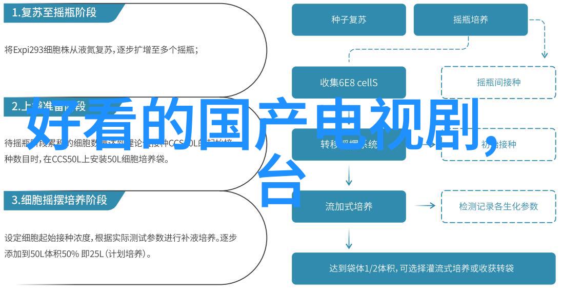 星光下的秘密娱乐圈隐恋故事的真实面貌