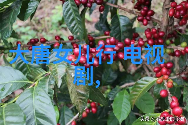 影视工场 - 幕后英雄揭秘影视工场的无声巨匠